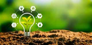 sprout coming out of dirt with sustainability icons surrounding it