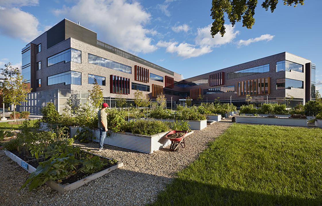 Community Garden with Augsburg College in the background