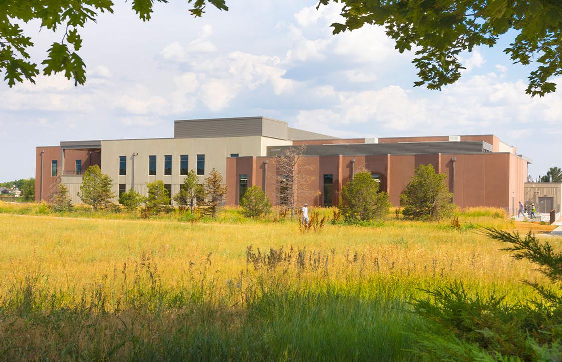 View from wetlands of Broomfield